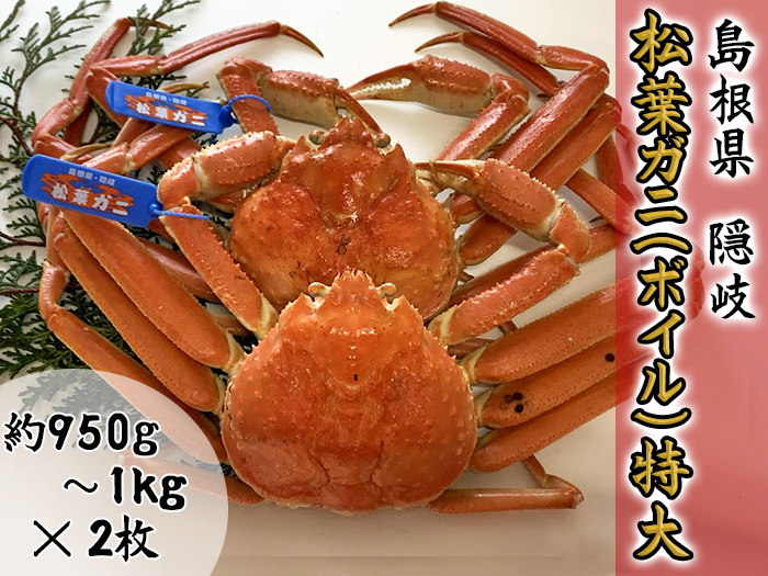 【木村鮮魚店提供】　隠岐松葉ガニ特番サイズ（ボイル）　２枚 