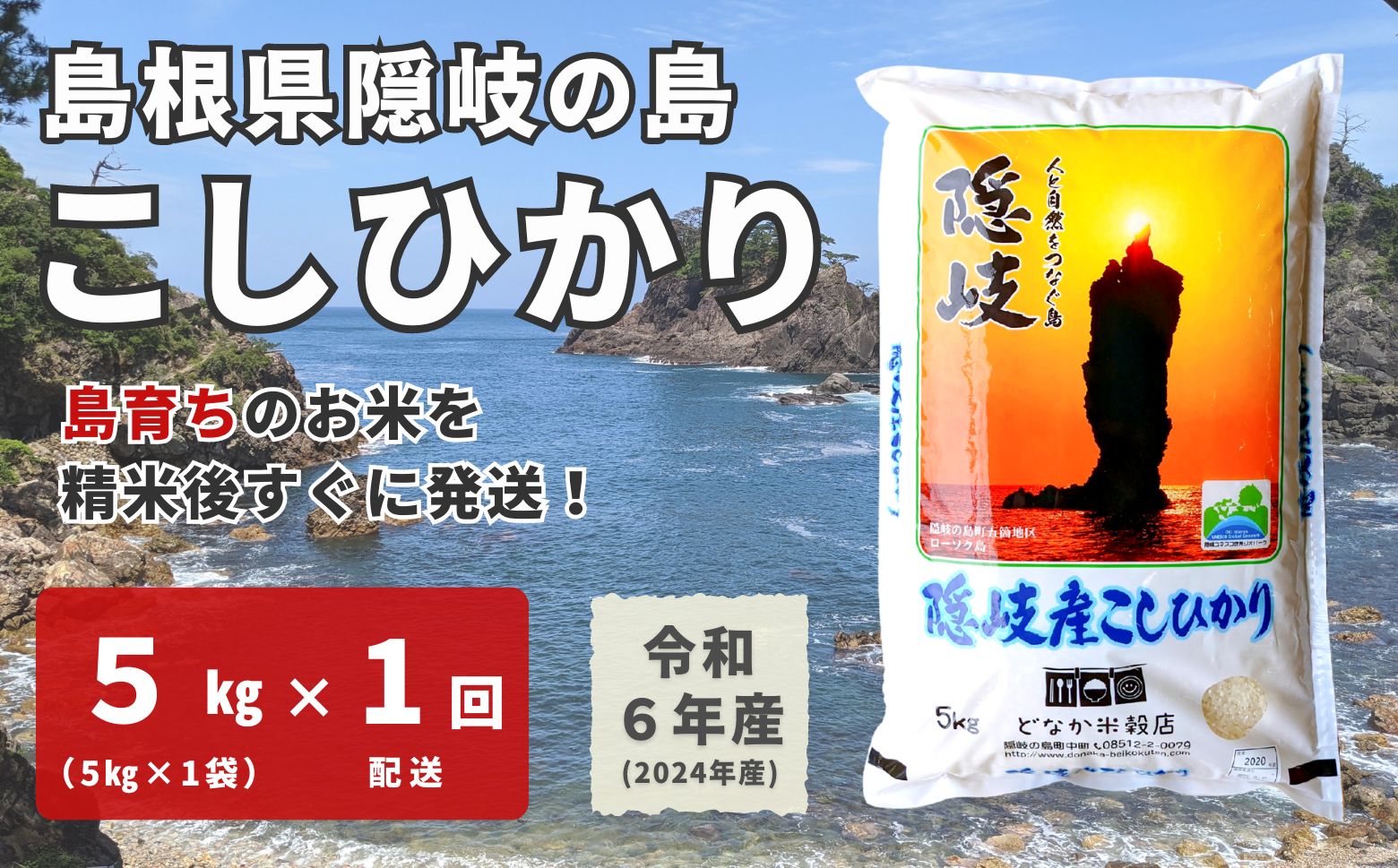 【令和６年産】隠岐産こしひかり5Kg（5Kｇ×1袋）