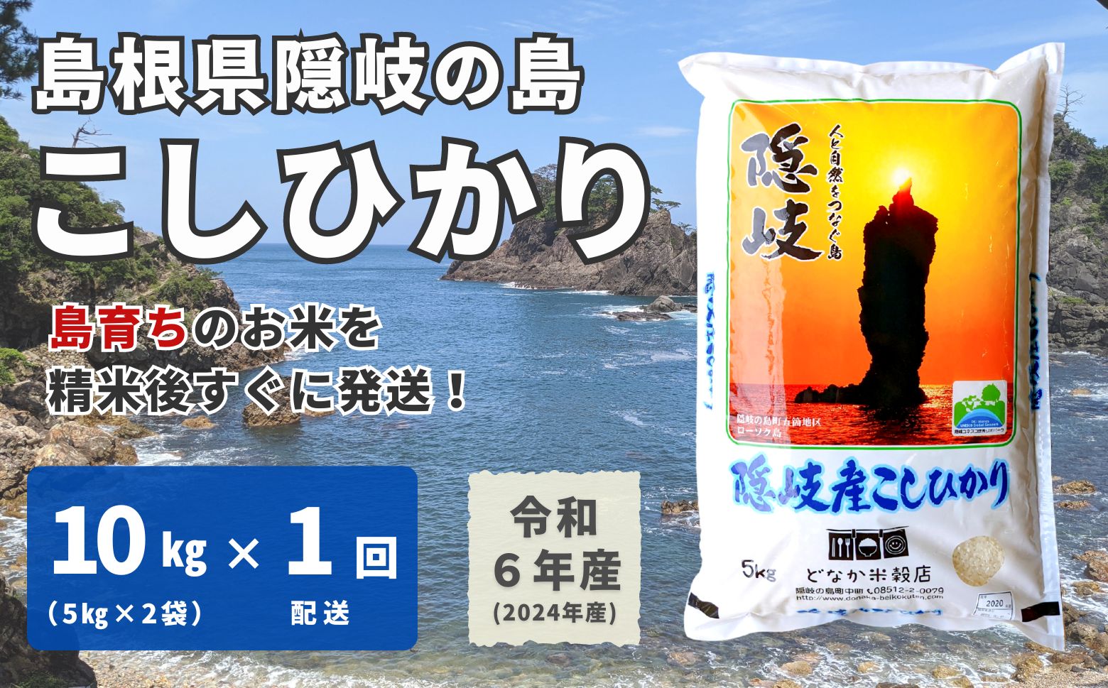 【令和6年産】隠岐産こしひかり10Kg（5Kｇ×2袋） 