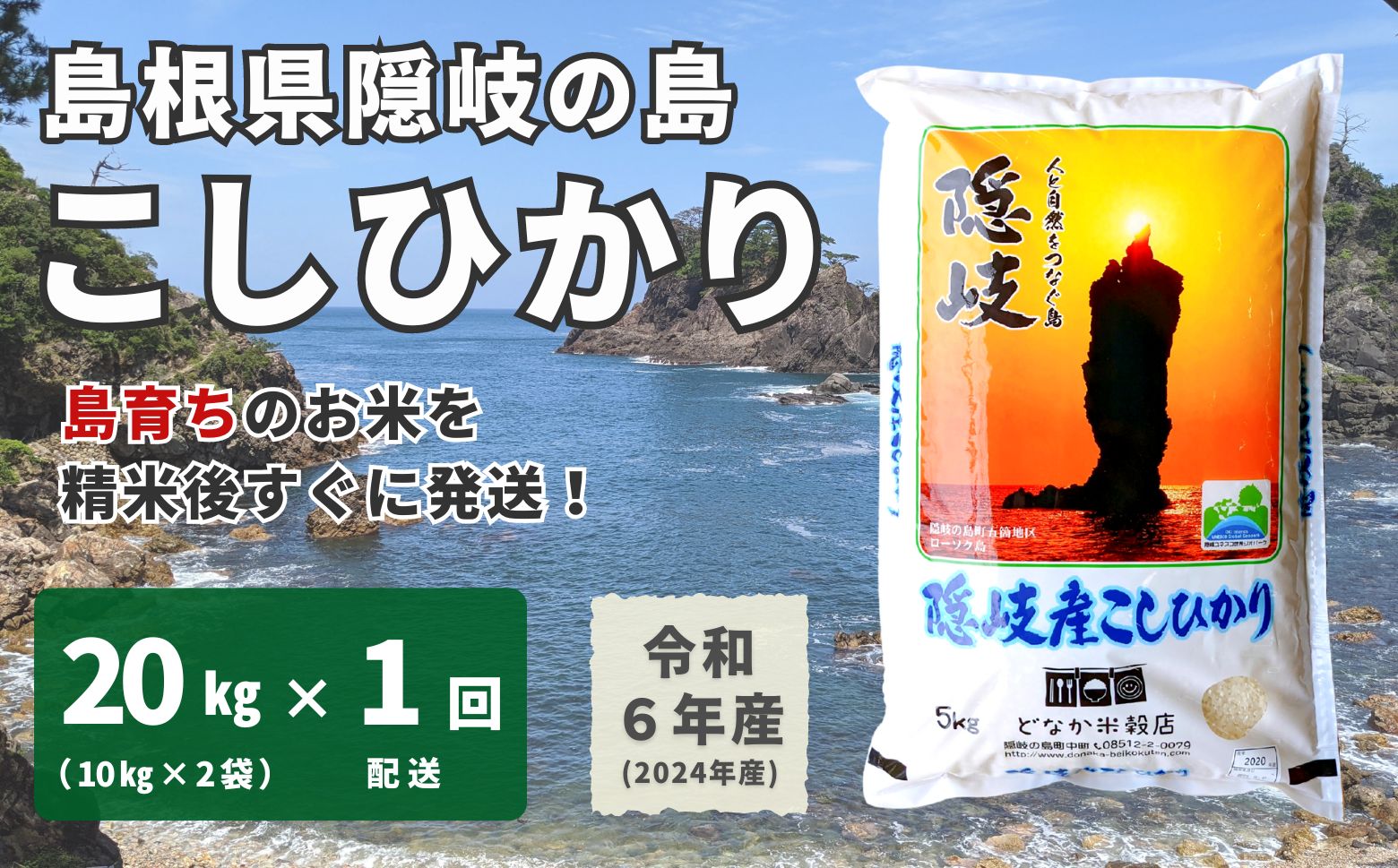 【令和6年産】隠岐産こしひかり20Kg（10Kｇ×2袋）