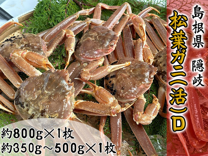 【木村鮮魚店提供】　隠岐松葉ガニ(活)D