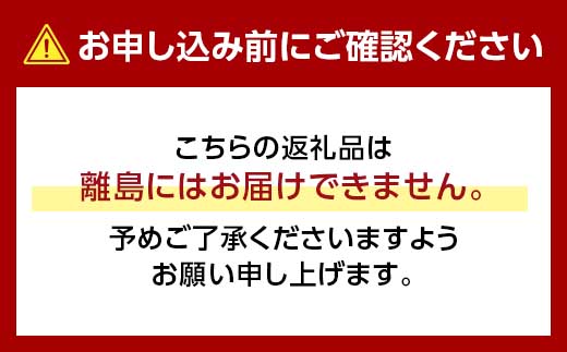 新高梨 ふわり（2玉入り） TY0-0599