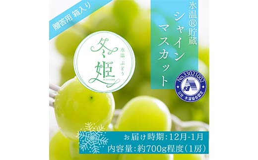 【2024年12月～2025年1月発送】氷温貯蔵マスカット冬姫 1房 ぶどう フルーツ 果物 マスカット シャインマスカット TY0-0914