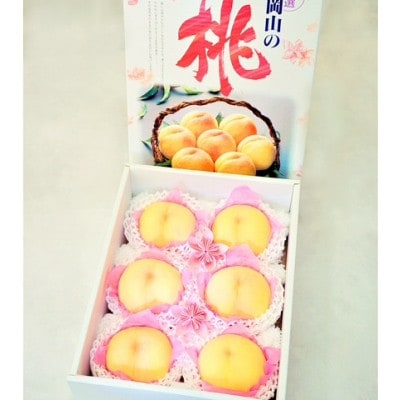 岡山県産  樹熟し白桃 5-8玉(約2kg)【配送不可地域：離島】【1707554】