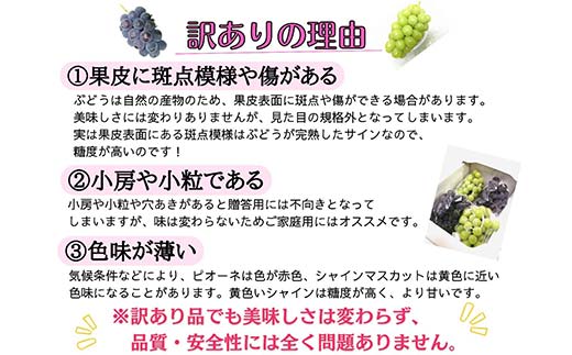 【2025年先行受付】訳あり 岡山県産 ピオーネ 4kg 果物 フルーツ ぶどう ピオーネ TY0-0942