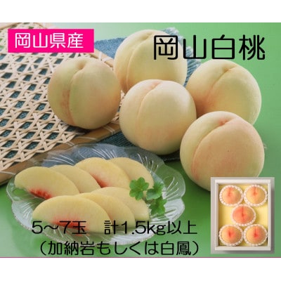 ◆先行受付◆　岡山県産　岡山白桃5〜7玉(1)　2026年発送【配送不可地域：離島・北海道・沖縄県】【1349774】