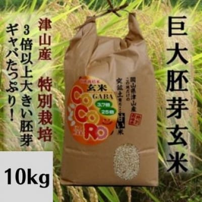 【突鉱土育ち】巨大胚芽米CoCoRo 10kg【1361993】
