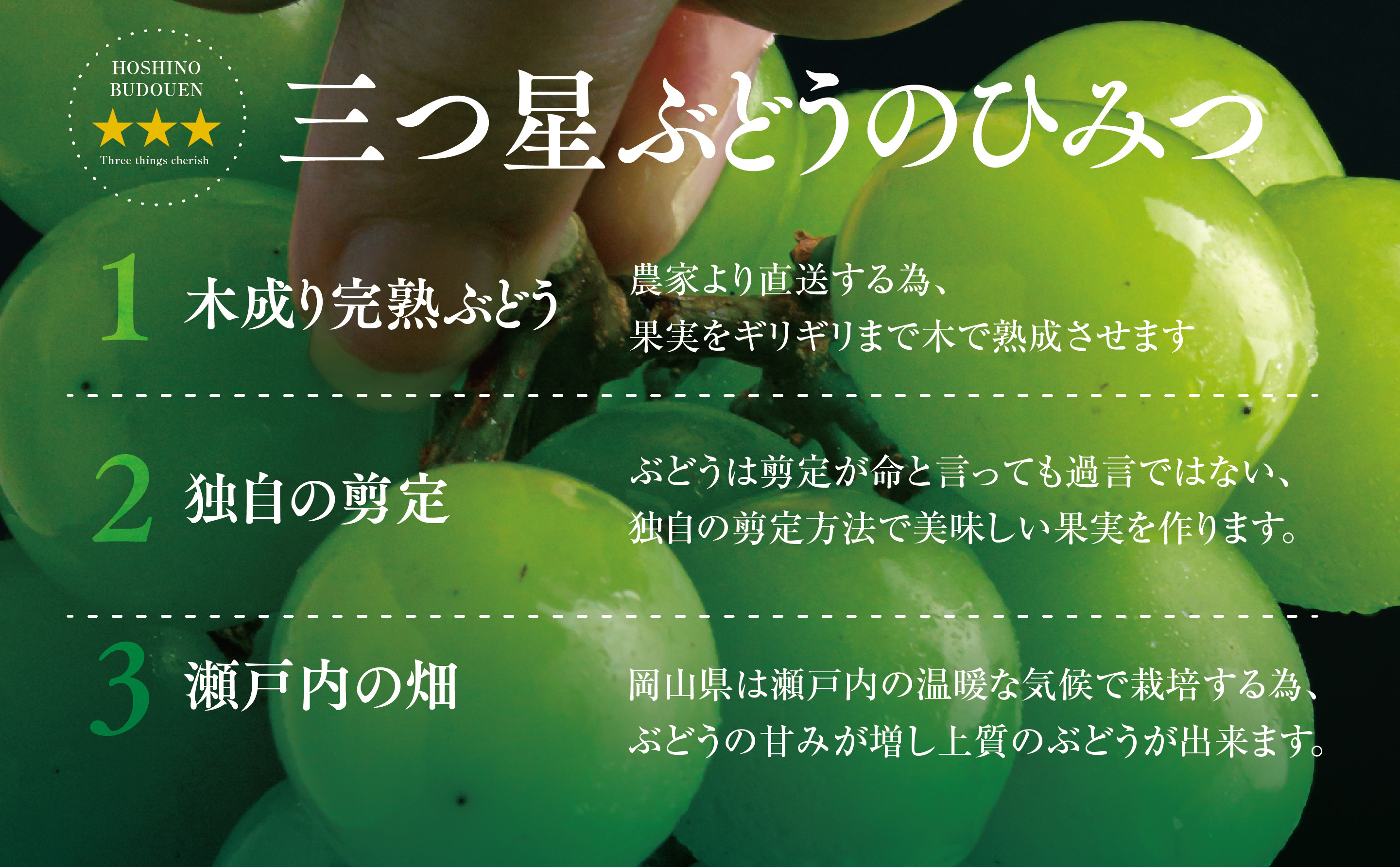 【三つ星ブランド】星乃シャインマスカット プレミアムクラス(岡山県産) 1房×850g以上【配送不可地域：離島・北海道・沖縄県】【1418920】
