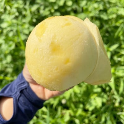 【2026年先行予約】2026年7月下旬頃より発送予定・岡山の白桃・清水白桃(2kg箱)【配送不可地域：離島】【1484602】