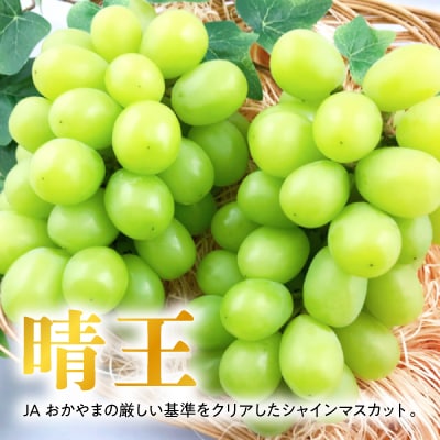 縲2026蟷エ逋コ騾√大イ。螻ア蜷咲肇縲先匐邇九代す繝」繧、繝ウ繝槭せ繧ォ繝繝2kg!8譛井ク区流莉・髯埼谺。逋コ騾√宣埼∽ク榊庄蝨ー蝓滂シ夐屬蟲カ縲代1365277縲
