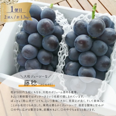 【発送月固定定期便】藤稔とシャインマスカットの満足2回便! 各大2房入/1.3kg(岡山県産)全2回【配送不可地域：離島】【4066248】