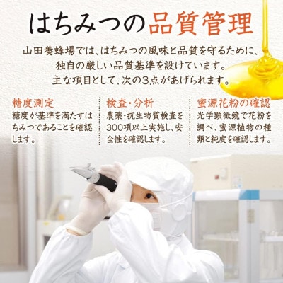 éå±±ã®ããããããããèè 300gãšã«ãŒããã¢ç£ã¢ã«ã·ã¢èè 300gã®é£ã¹æ¯ã¹ã»ããã1607413ã