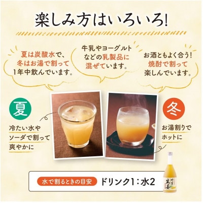 蜂蜜生姜ドリンク(レモン果汁入り)(26040)【1699275】