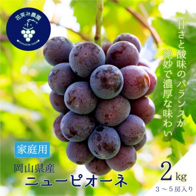 【2026年先行受付】岡山　花笑み農園の『ニューピオーネ』家庭用　約2kg(3〜5房)　P-2家【配送不可地域：離島】【1692569】