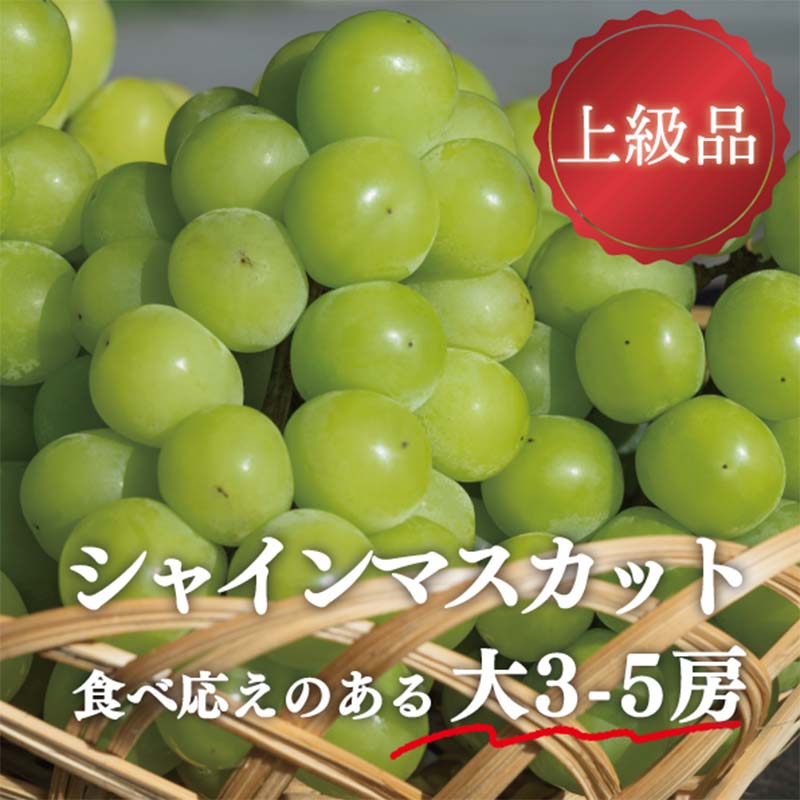 岡山県産 きよとうのこだわりのシャインマスカット 上級品 大3-5房 マスカット ぶどう ブドウ 葡萄 デザート フルーツ 果物 くだもの 果実 食品 TY0-0811