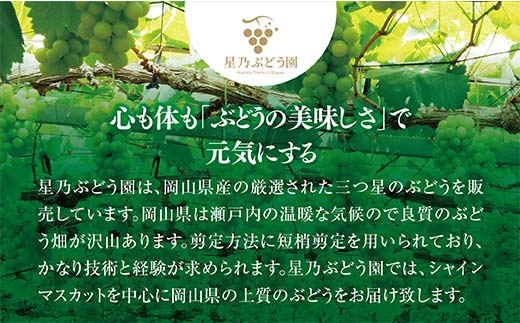 【2024年発送 木成り完熟】星乃シャインマスカット(岡山県産)　2房(1.3kg以上)【配送不可地域：離島】TY0-0587