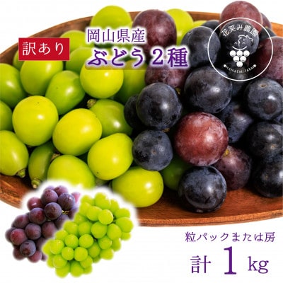 【2026年先行受付】岡山　花笑み農園のブドウ『訳あり2種MIX』1kg　W2M-1【配送不可地域：離島・北海道・沖縄県】【1628310】