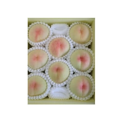 【2026年先行予約】2026年7月中旬頃より発送予定・岡山の白桃・白鳳(2kg箱)【配送不可地域：離島】【1479360】