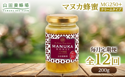 【毎月定期便】マヌカ蜂蜜(クリームタイプ)MG250+(22178)全12回【4008987】