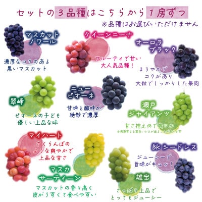 【2026年先行受付】岡山　花笑み農園の『食べ比べ4種』シャイン入り　贈答用　2kg(4房)4M-2【配送不可地域：離島・北海道・沖縄県】【1626792】