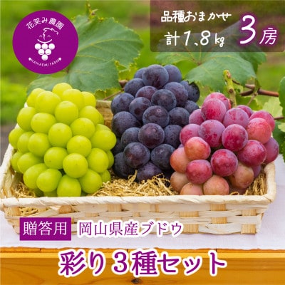 【2026年先行受付】岡山　花笑み農園のブドウ『彩り3種セット』贈答用　1.8kg(3房)3M-2上【配送不可地域：離島】【1695393】