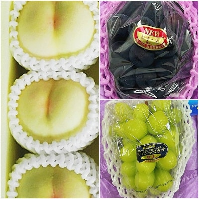 【発送月固定定期便】岡山県産 フルーツ定期便〈お一人様向け〉全3回【配送不可地域：離島・北海道・沖縄県】【4066370】