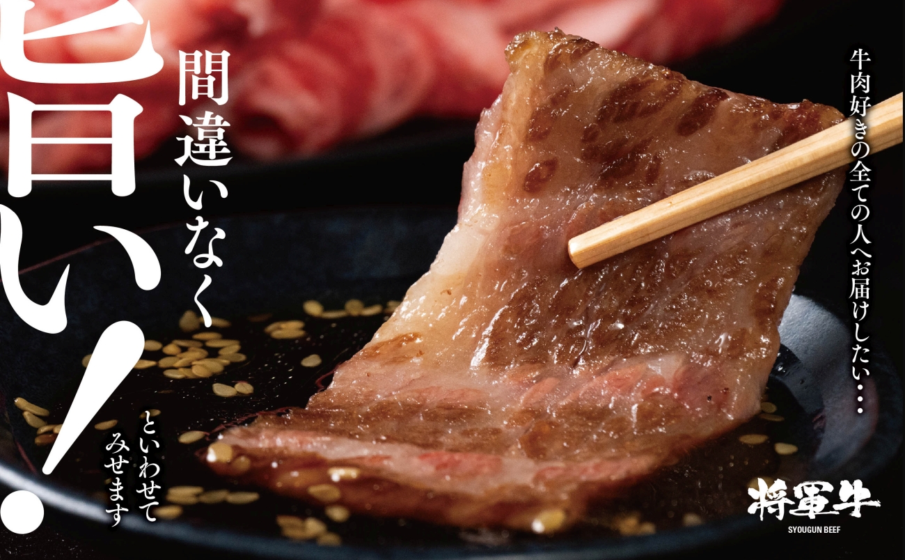 【将軍牛】特選焼肉セット ロース カルビ もも 3種類 500g【配送不可地域：離島・北海道・沖縄県】【1652110】