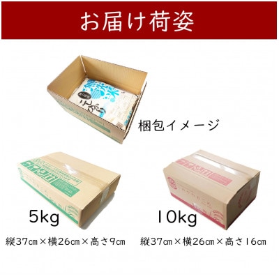 【無洗米】令和7年産 岡山県産 にじのきらめき 5kg【1717516】
