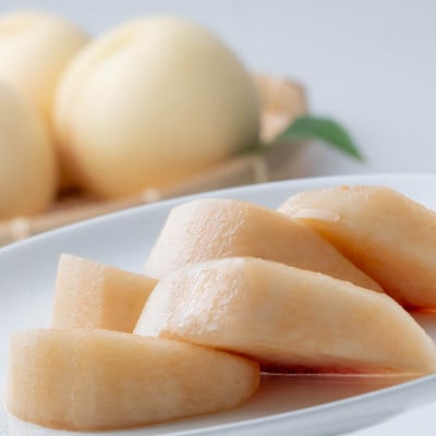 【2026年発送】岡山県産白桃　3玉・約800g(クール便)【配送不可地域：離島】【1614345】