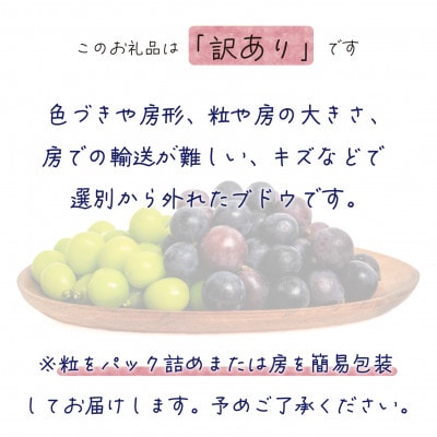 ã2026幎å
è¡åä»ã岡山ãè±ç¬ã¿èŸ²åã®ãããŠãèš³ãã2çš®MIXã1kgãW2M-1ãé
éäžå¯å°åïŒé¢å³¶ã»åæµ·éã»æ²çžçãã1628310ã