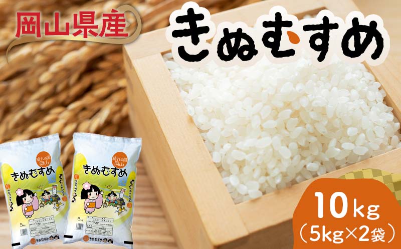 岡山県産きぬむすめ 10kg（5kg×2袋） きぬむすめ 米 お米 ブランド米 銘柄米 備蓄 日本米 コメ ごはん ご飯 食品 TY0-0789