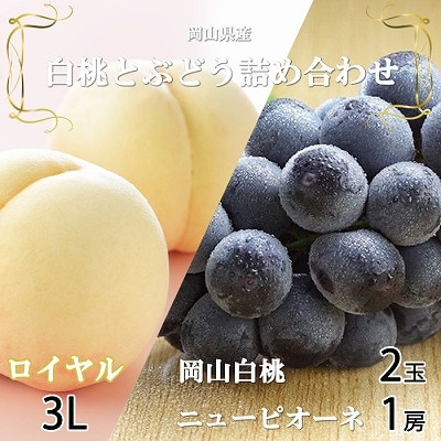 【先行受付】岡山県産　岡山白桃ロイヤル3Lサイズ300g×2玉・ニューピオーネ600g×1房　詰合せ【配送不可地域：離島・北海道・沖縄県】【1309113】