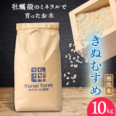 令和5年産 きぬむすめ 10kg【無洗米】牡蠣殻のミネラルで育ったお米【1434426】