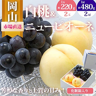【先行受付】岡山県産　詰合せ/白桃とニューピオーネ　化粧箱入り【配送不可地域：離島・北海道・沖縄県】【1281365】