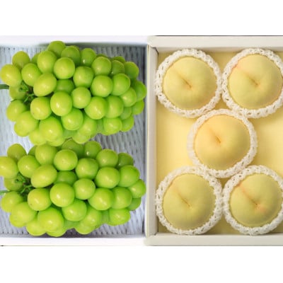 ◆先行受付◆　岡山白桃とシャインマスカット　2026年発送【配送不可地域：離島・北海道・沖縄県】【1349778】