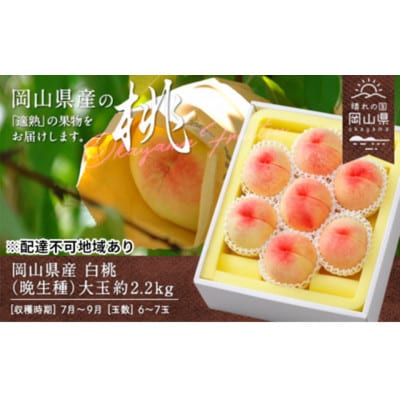 【2026年発送】岡山県産　白桃(晩生種)約2.2kg(大玉6〜7玉)【配送不可地域：離島】【1614018】