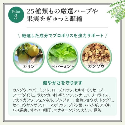 ããããªã¹ã¹ãã¬ãŒ(11104)ã1107984ã