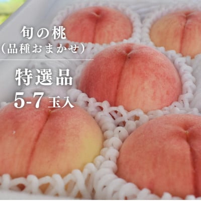 【2026年先行予約】特選品　旬採り桃　5-7玉　(岡山県産)【配送不可地域：離島】【1696626】