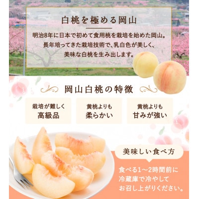 【先行受付】岡山県産　白桃 6玉(1.5kg以上) 等級:ロイヤル 化粧箱入り【配送不可地域：離島・北海道・沖縄県】【1499099】