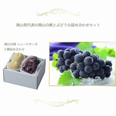 【先行受付】岡山県産　岡山白桃ロイヤル3Lサイズ300g×2玉・ニューピオーネ600g×1房　詰合せ【配送不可地域：離島・北海道・沖縄県】【1309113】