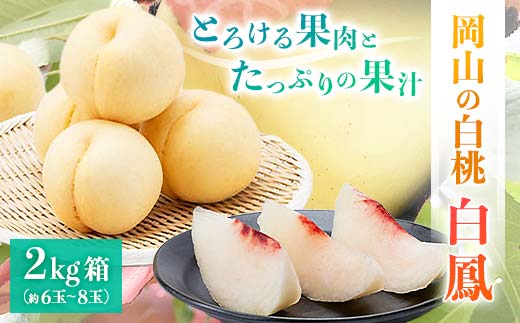 先行受付【2025年7月中旬より発送予定】とろける果肉とたっぷりの果汁の岡山の白桃・白鳳(2kg箱) TY0-0324