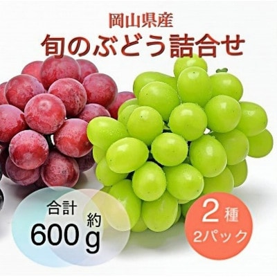 【2025年9月より順次発送】岡山県産 旬のぶどう詰合せ 2種2パックセット【配送不可地域：離島】【1575465】