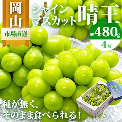 【先行受付】岡山県産　シャインマスカット『晴王』4房(1房480g以上・合計約2kg)　【配送不可地域：離島・北海道・沖縄県】【1360475】
