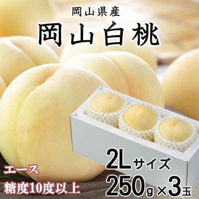 【先行受付】岡山白桃 エース 3玉×250g(2Lサイズ) 岡山県産【配送不可地域：離島・北海道・沖縄県】【1305725】