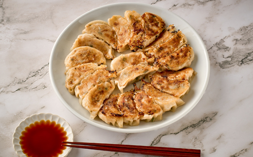 津山黒豚手作り冷凍生餃子(100個セット)【配送不可地域：離島】【1339812】