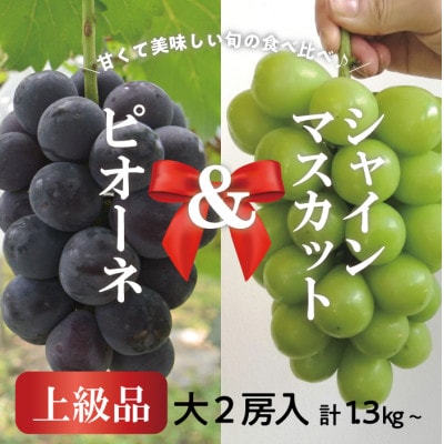 【2026年先行予約】ピオーネ&シャインマスカット 上級品 大2房 /計1.3kg〜(岡山県産)【配送不可地域：離島】【1571760】