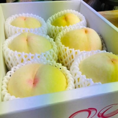 【先行受付|8月上旬頃より順次発送】岡山県ブランド『清水白桃』　約1kg(3~4玉)【配送不可地域：離島・北海道・沖縄県】【1726908】