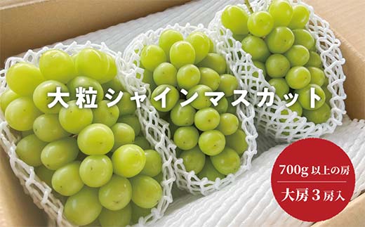 岡山県産 きよとうのこだわりのシャインマスカット特大3房 ぶどう ブドウ シャインマスカット 社員マスカット 葡萄 デザート フルーツ 果物 くだもの 果実 食品 TY0-0845