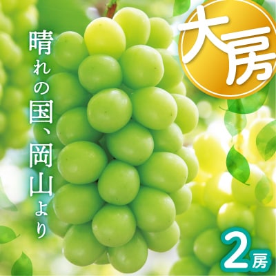 岡山県産シャインマスカット大房【2026年9月末以降順次発送】【配送不可地域：離島】【1583563】