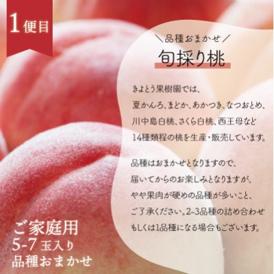 【発送月固定定期便】【2026年先行予約】旬採り桃とピオーネ、シャインマスカットが届く/岡山産全3回【配送不可地域：離島】【4078281】